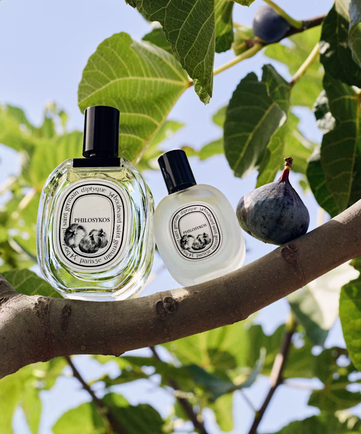 Philosykos: A Fig Grove in Bloom
