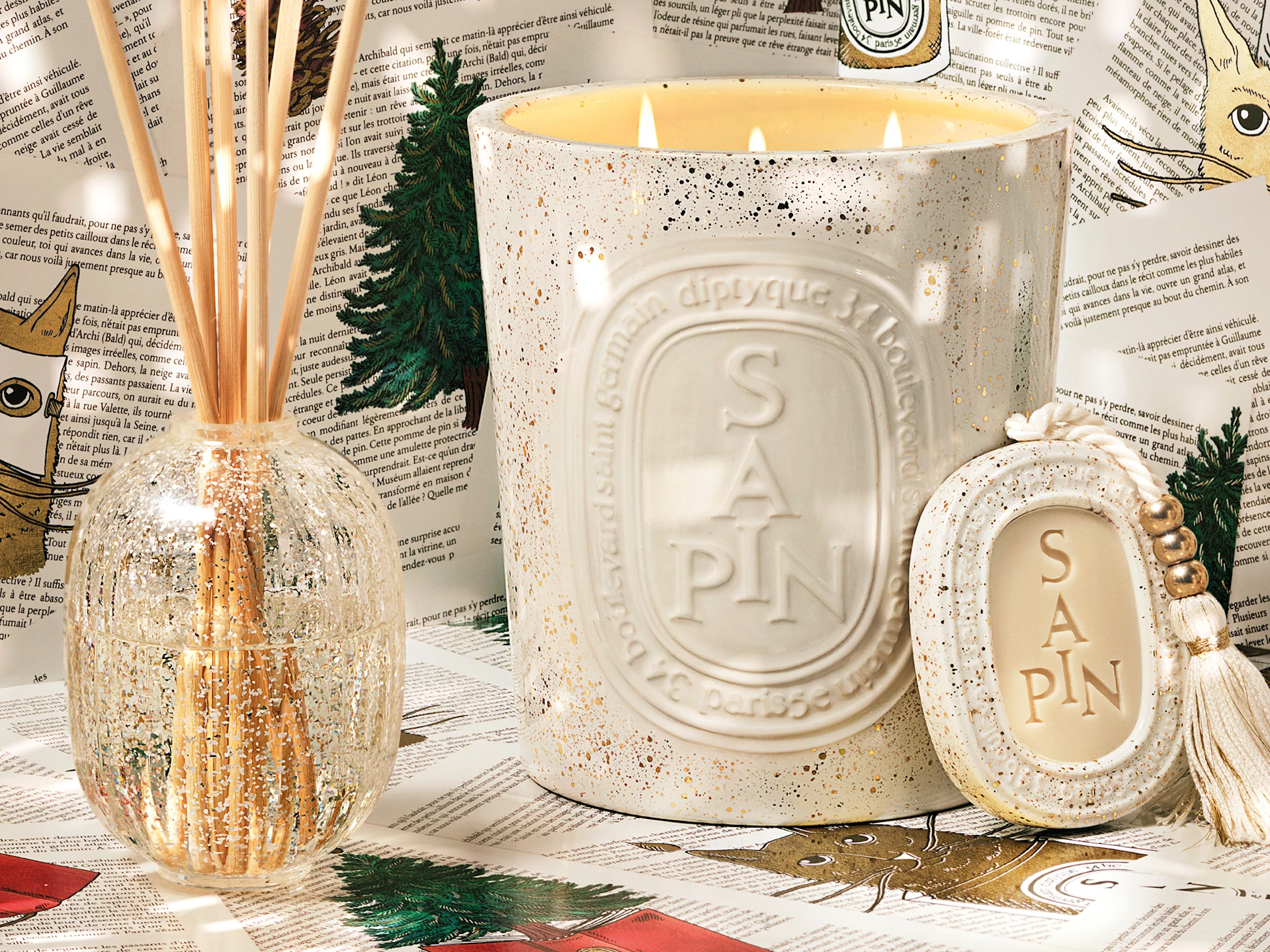 Sapin (Tanne) entdecken