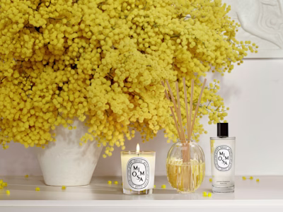 The Collection Mimosa