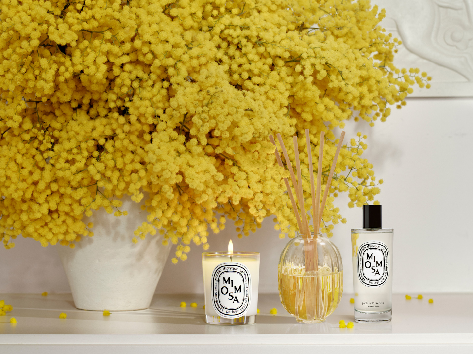 La collezione Mimosa