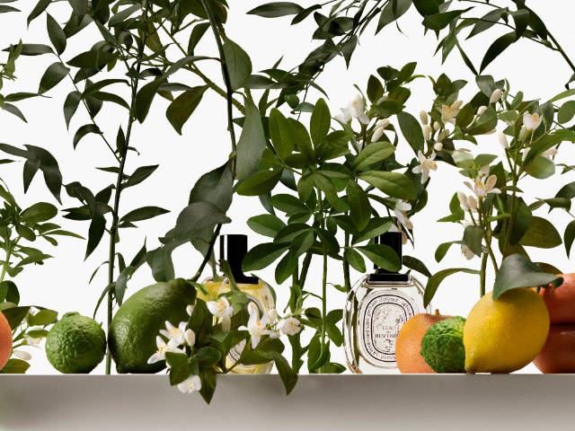 Eco-concevoir nos créations