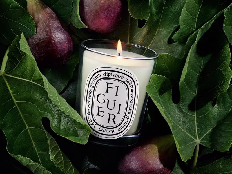 Summer bestseller: Fig Tree Candle