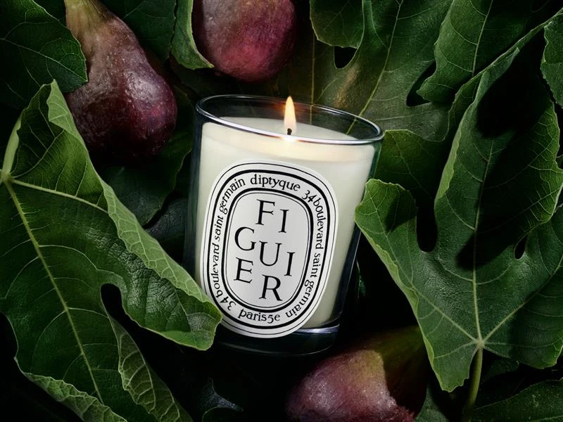 Summer bestseller: Fig Tree Candle