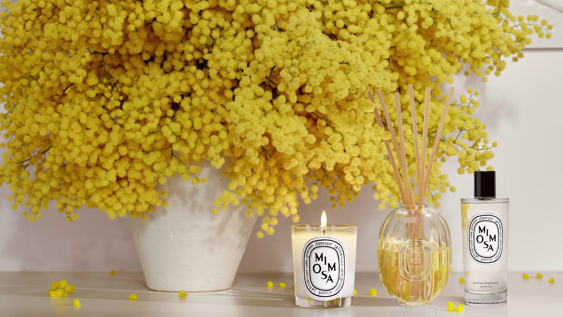 Mimosa at its finest