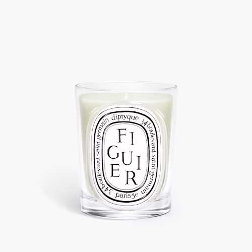 Figuier (Fig Tree) - Classic Candle