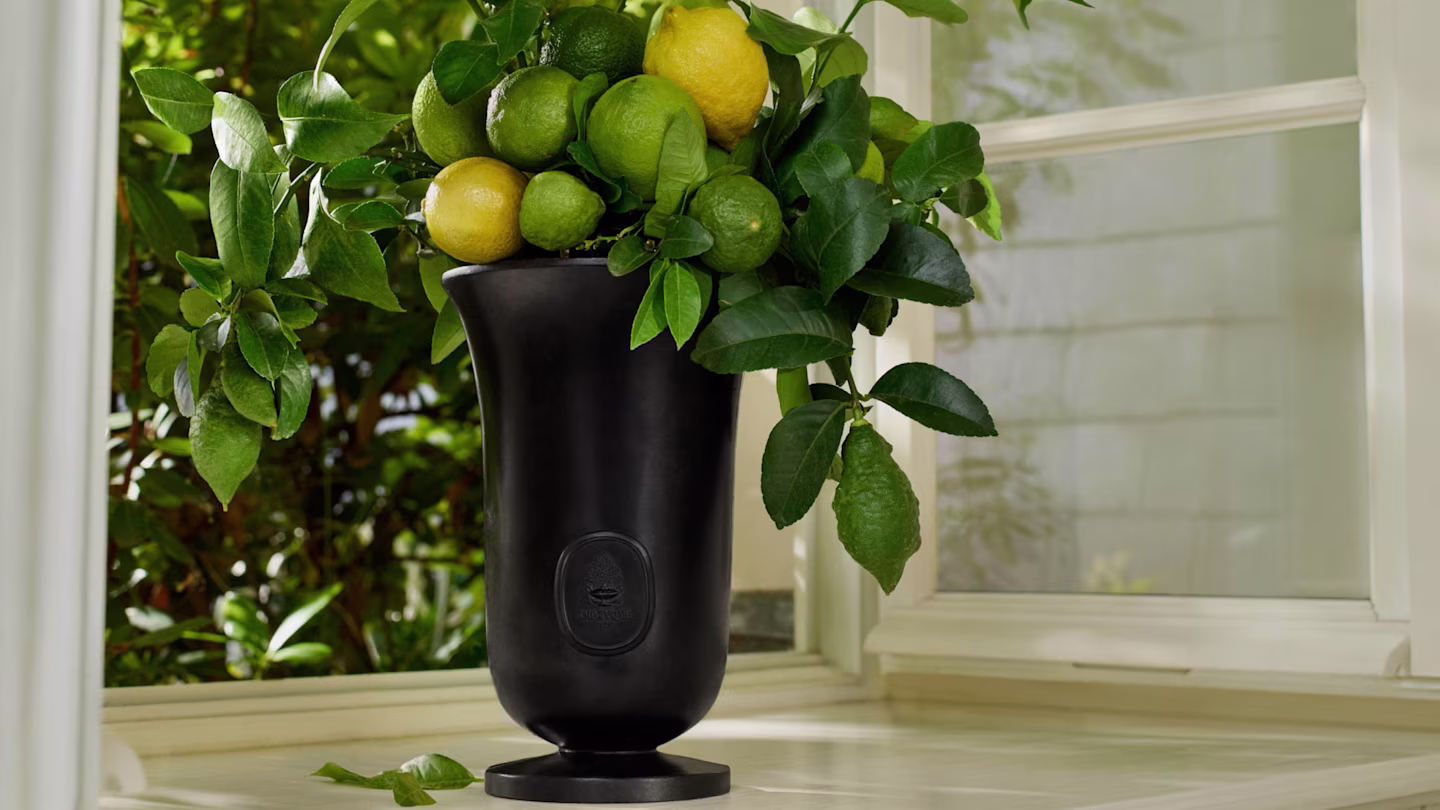 Black Medicis Vase