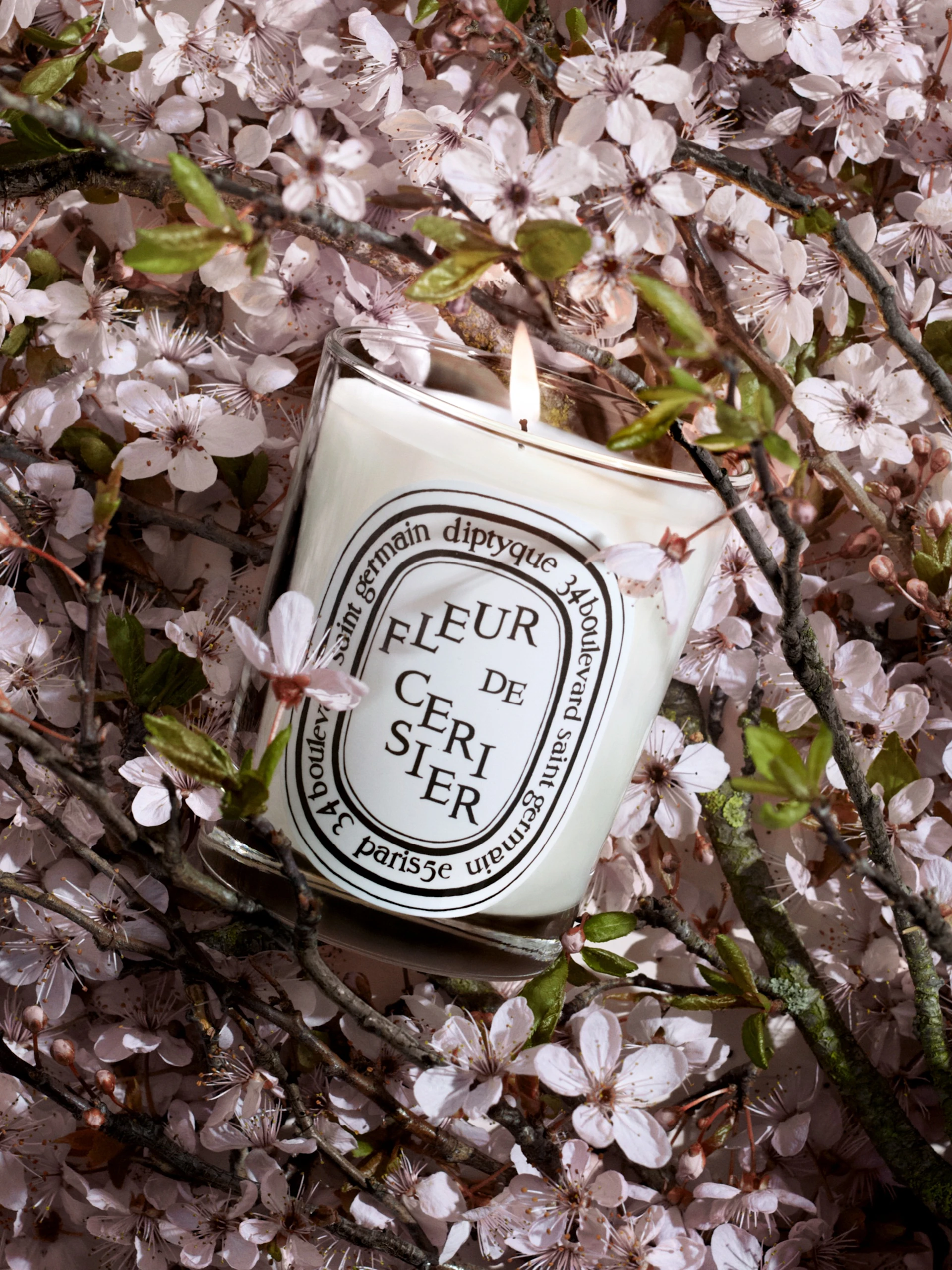 Discover the limited-edition Fleur de Cerisier (Cherry Blossom) candle
