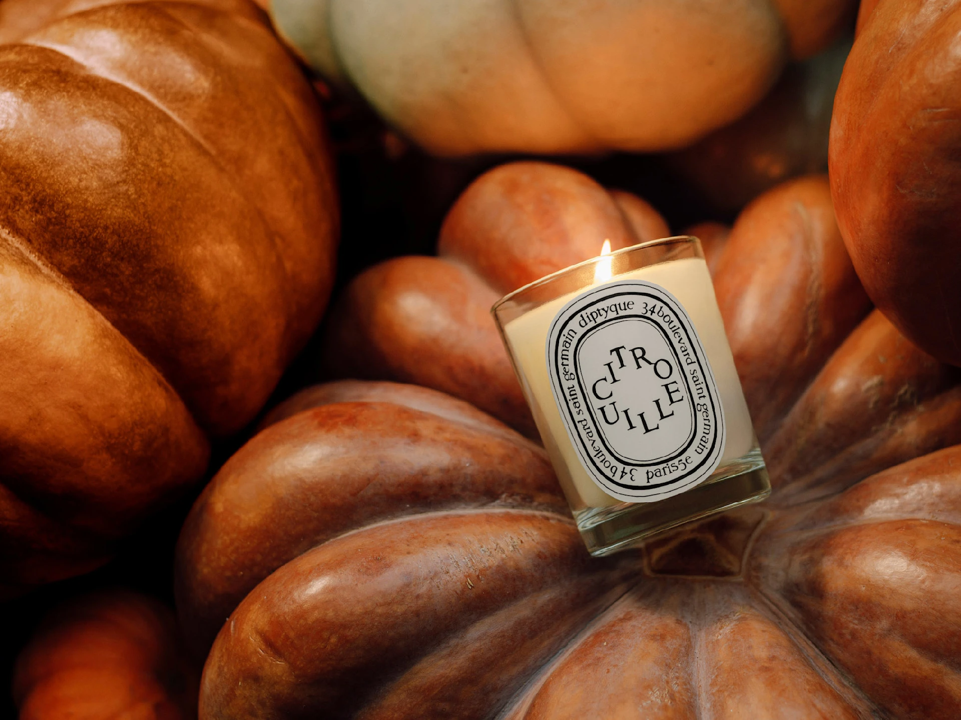 Candle of the Month: Citrouille (Pumpkin)