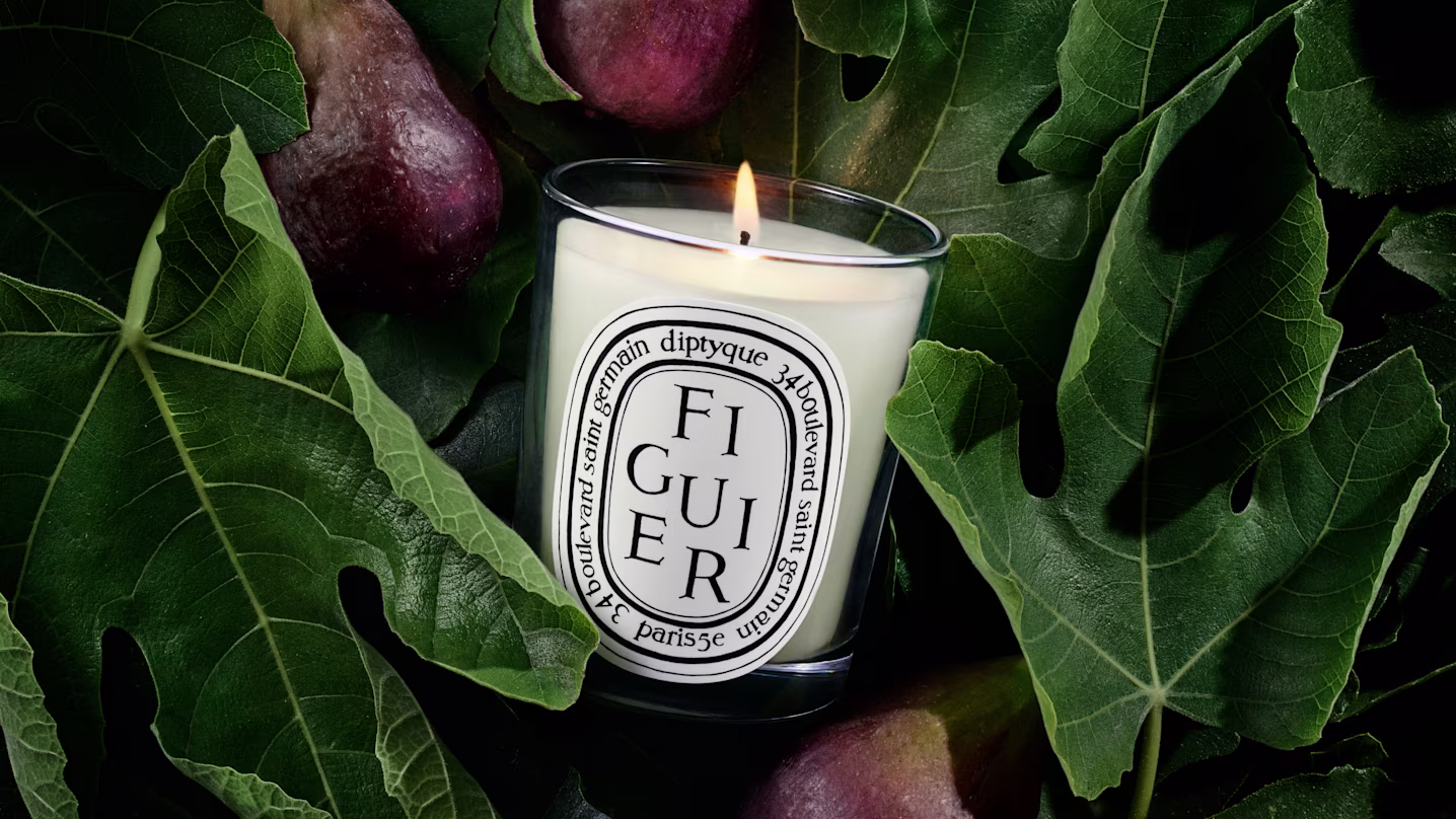 Figuier (Fig Tree)