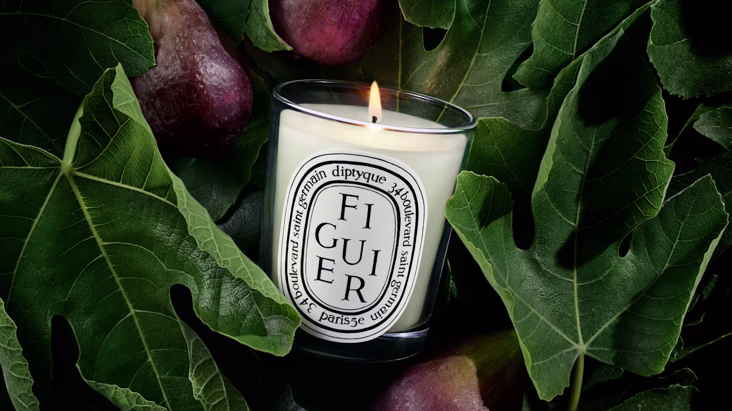 Figuier (Fig Tree)