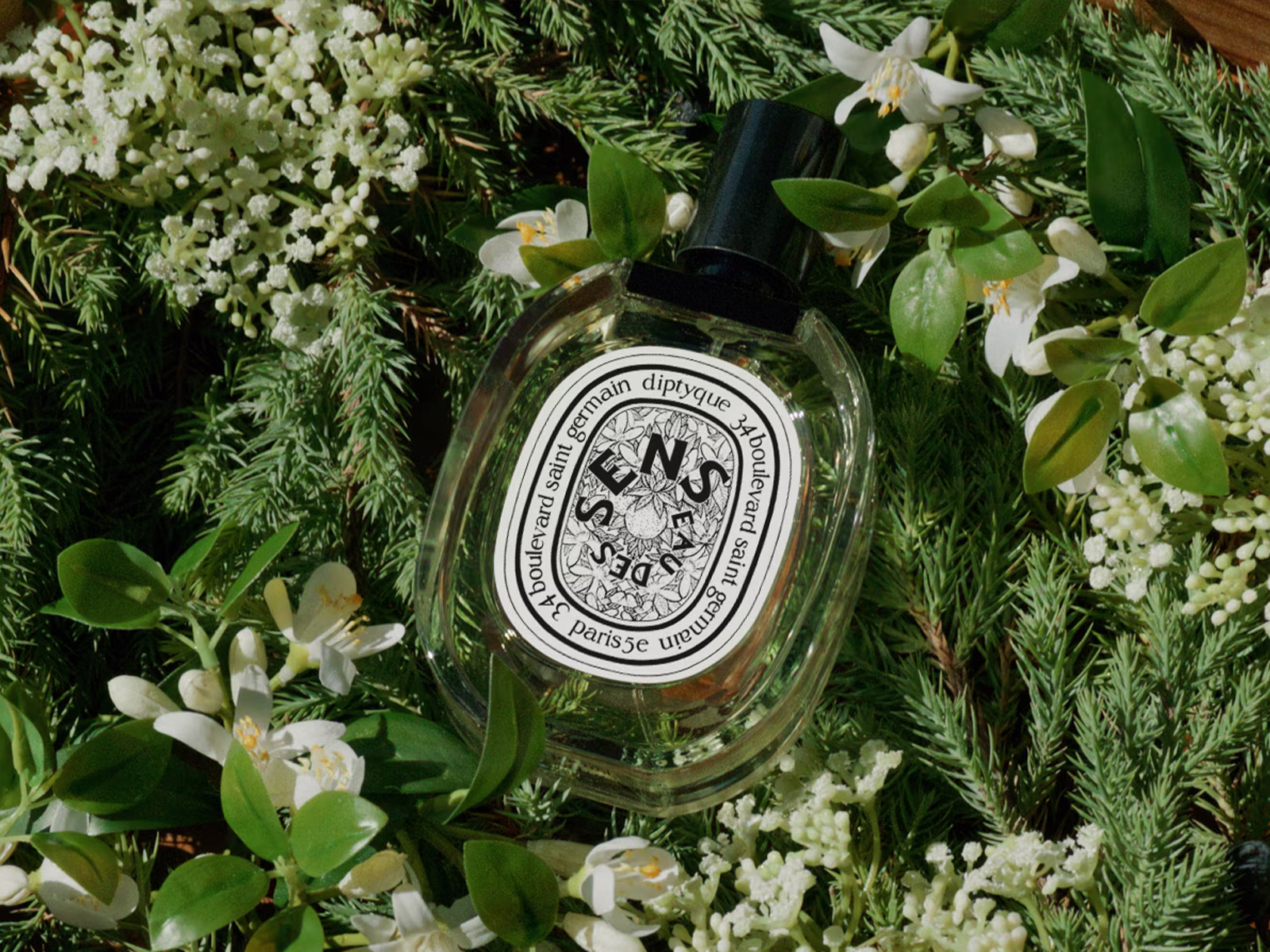 Eau des Sens, caressing and unsettling