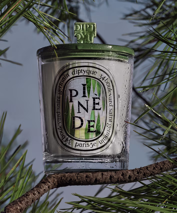 Pinède (Pine Grove) Candle