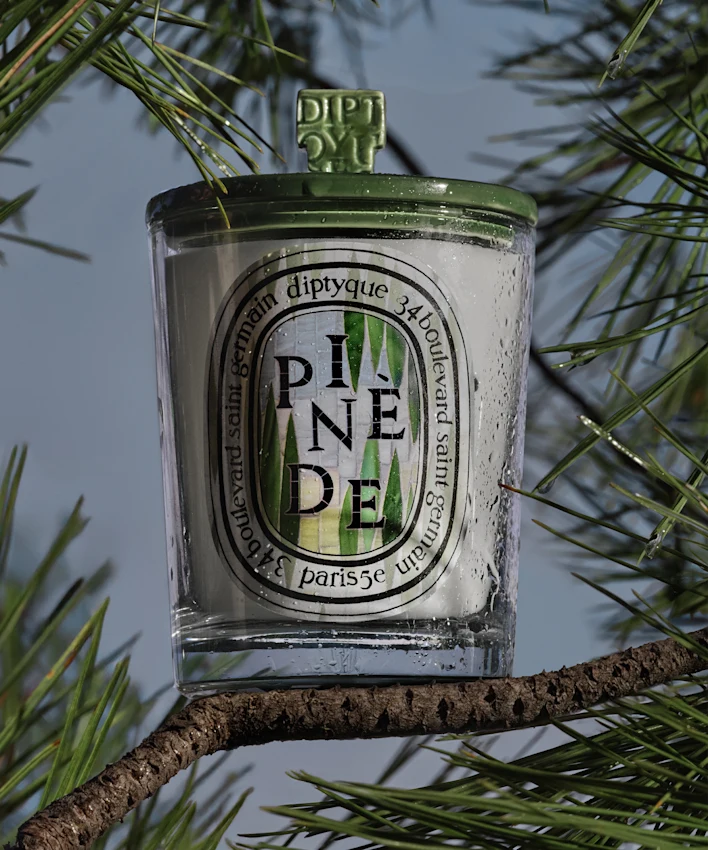 Bougie Pinède
