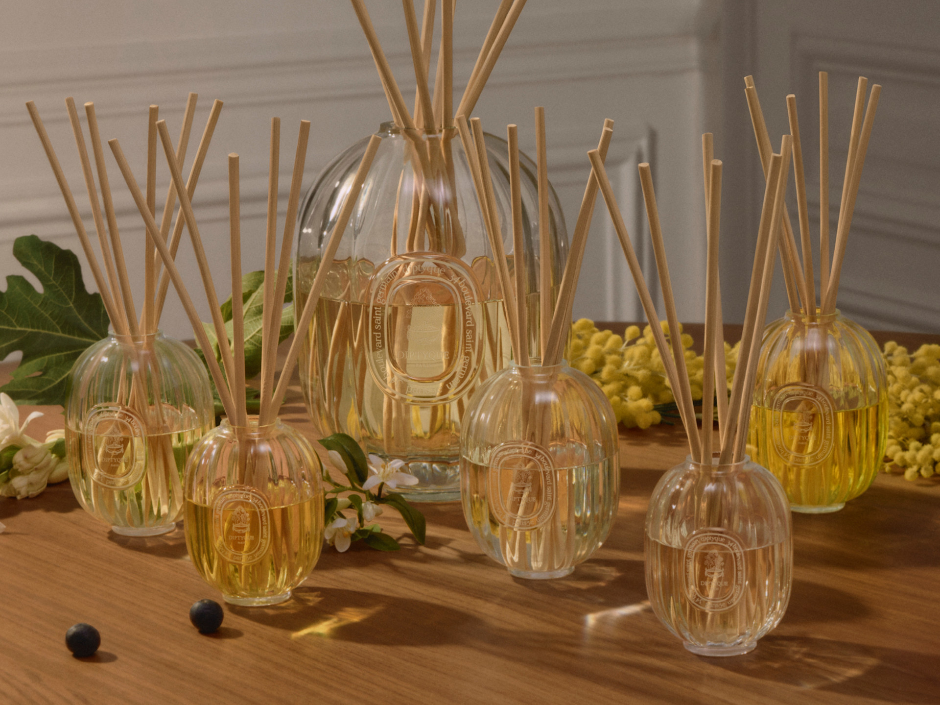 The Scented Ceremony, Reimagined