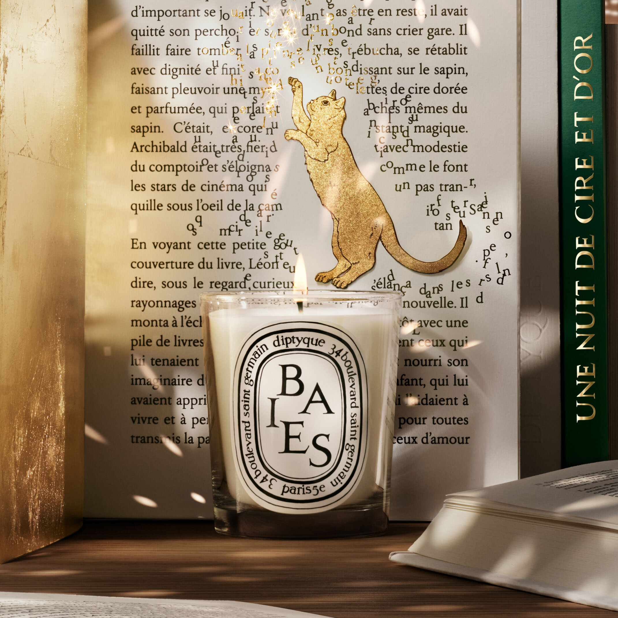 ディプティック ホリデーコレクション | Sapin（サパン） キャンドル