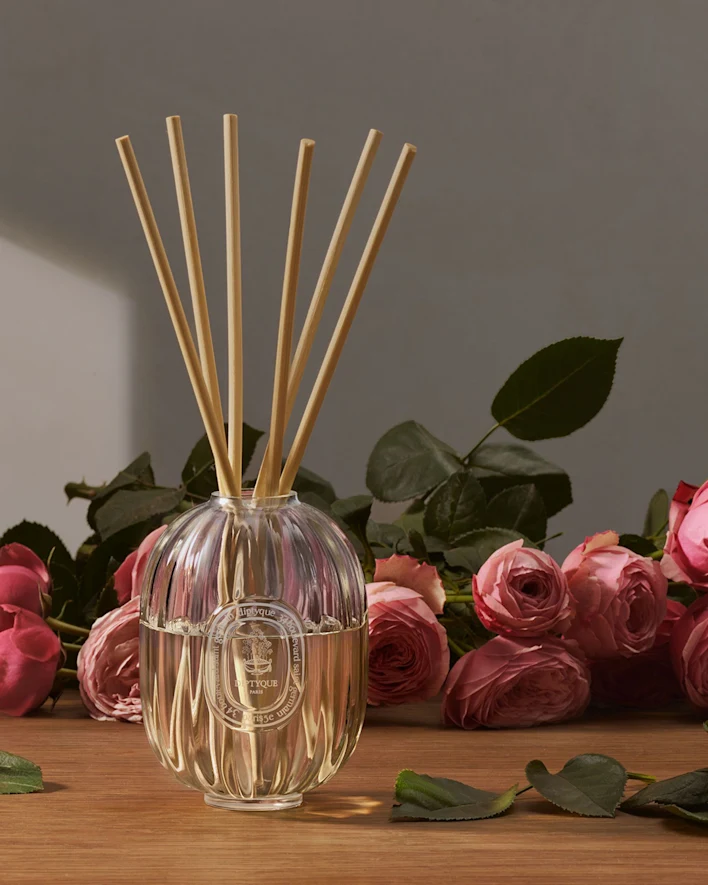 The Radiance of Timeless Rose