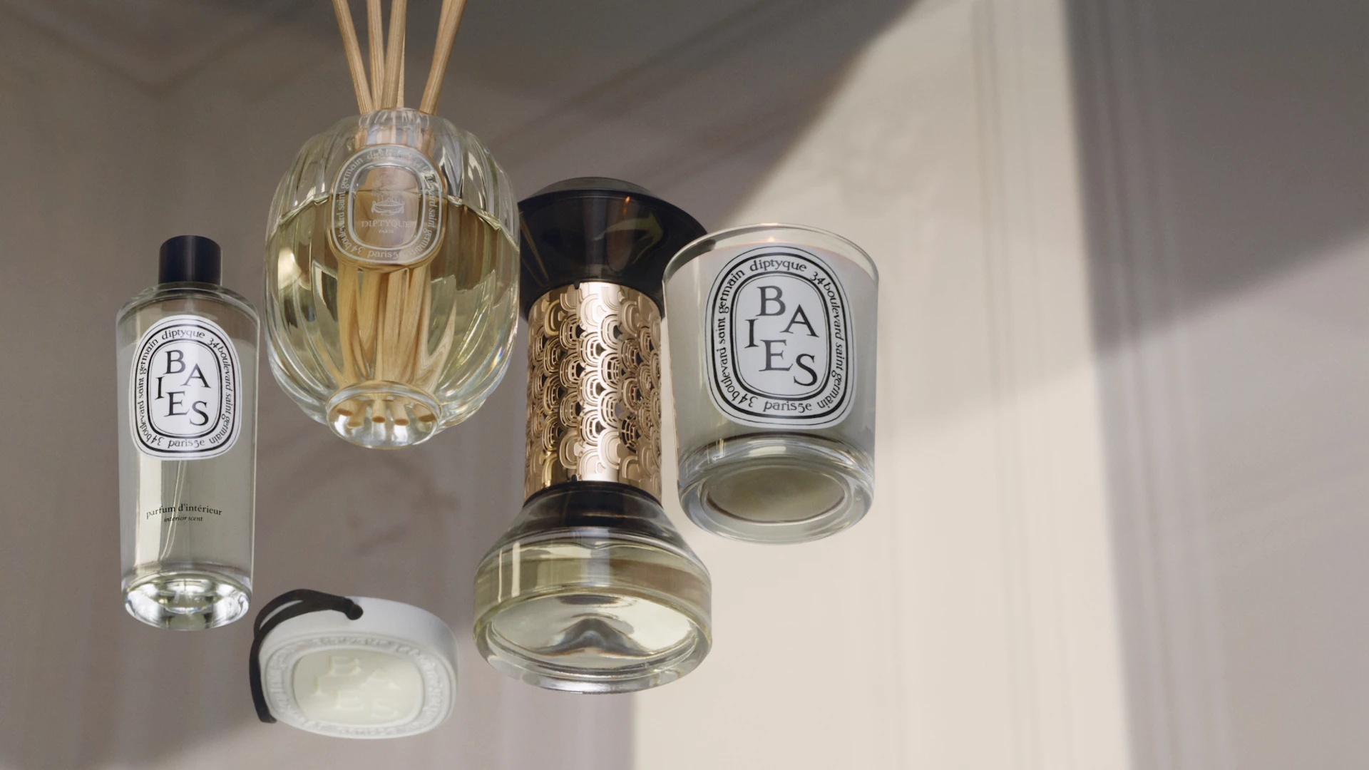 A Garden in Full Bloom