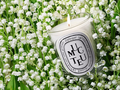 Muguet, porte-bonheur du printemps