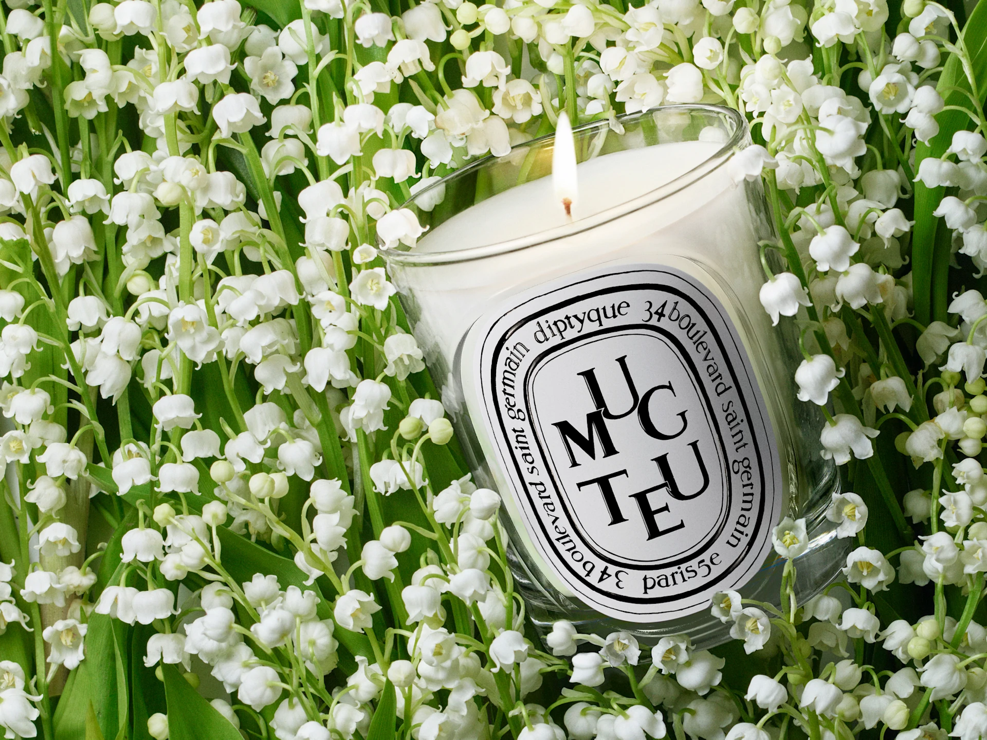 Muguet, porte-bonheur du printemps