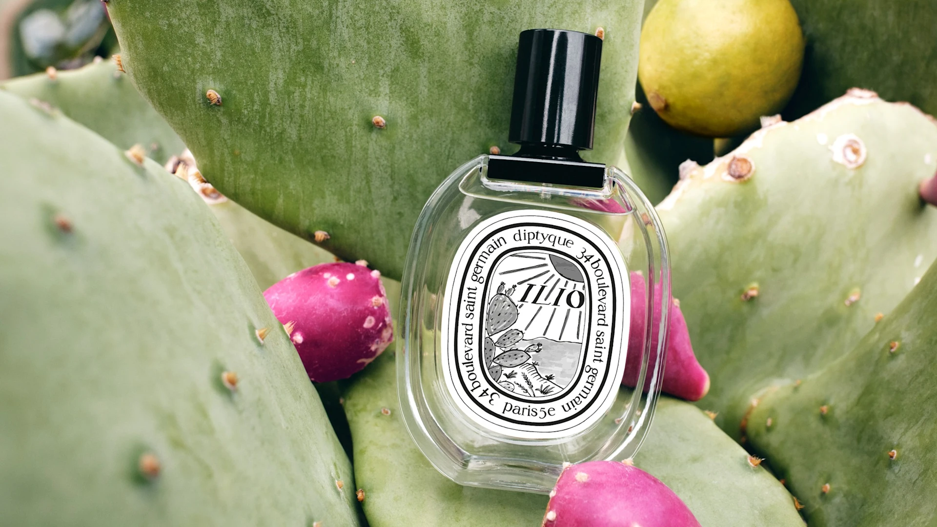 Escape with Ilio