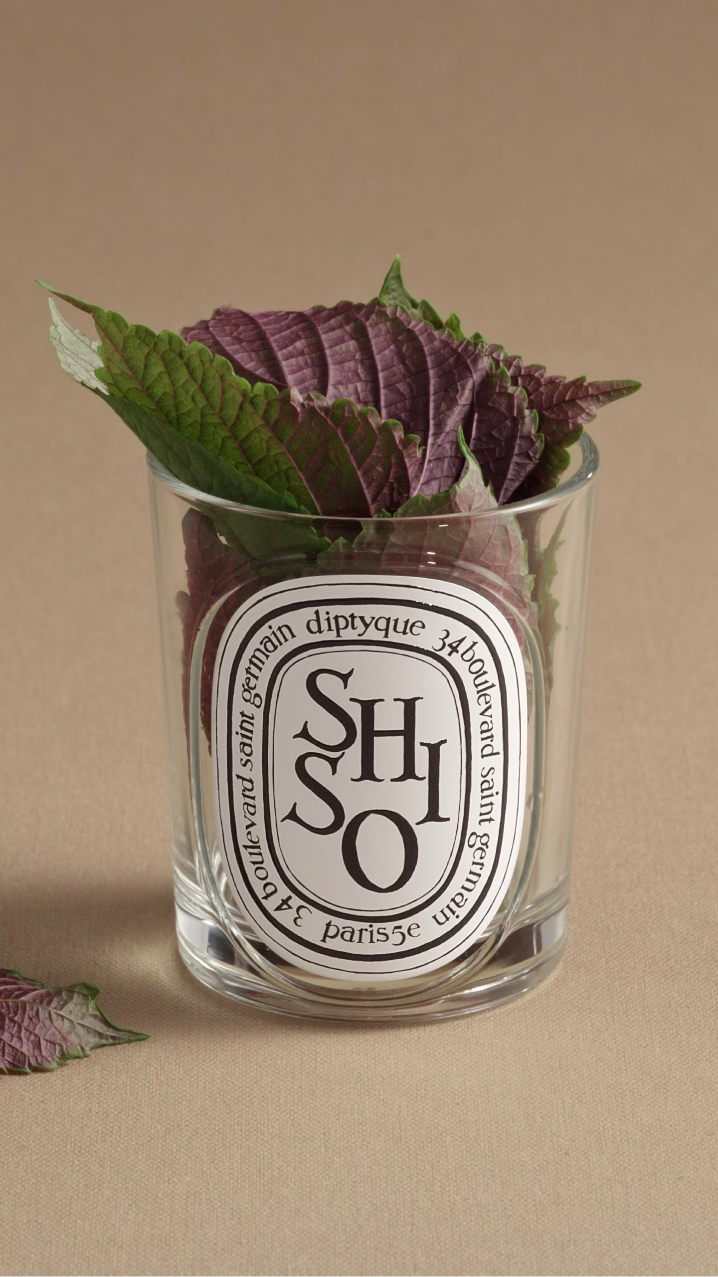 Découvrir la nouvelle bougie Shiso