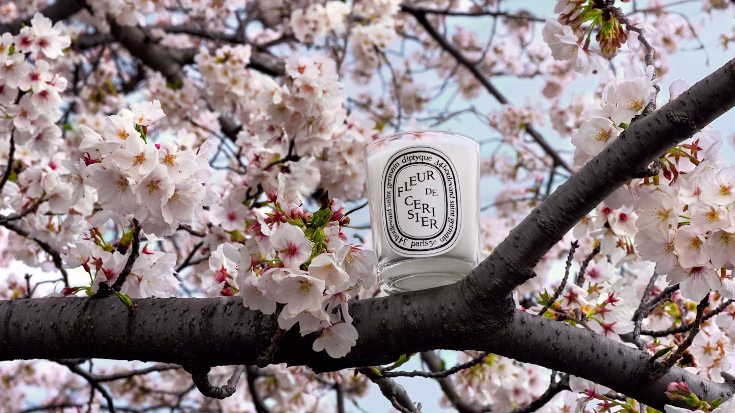 限定版キャンドル<br>フルール ド スリジエ<br>が登場