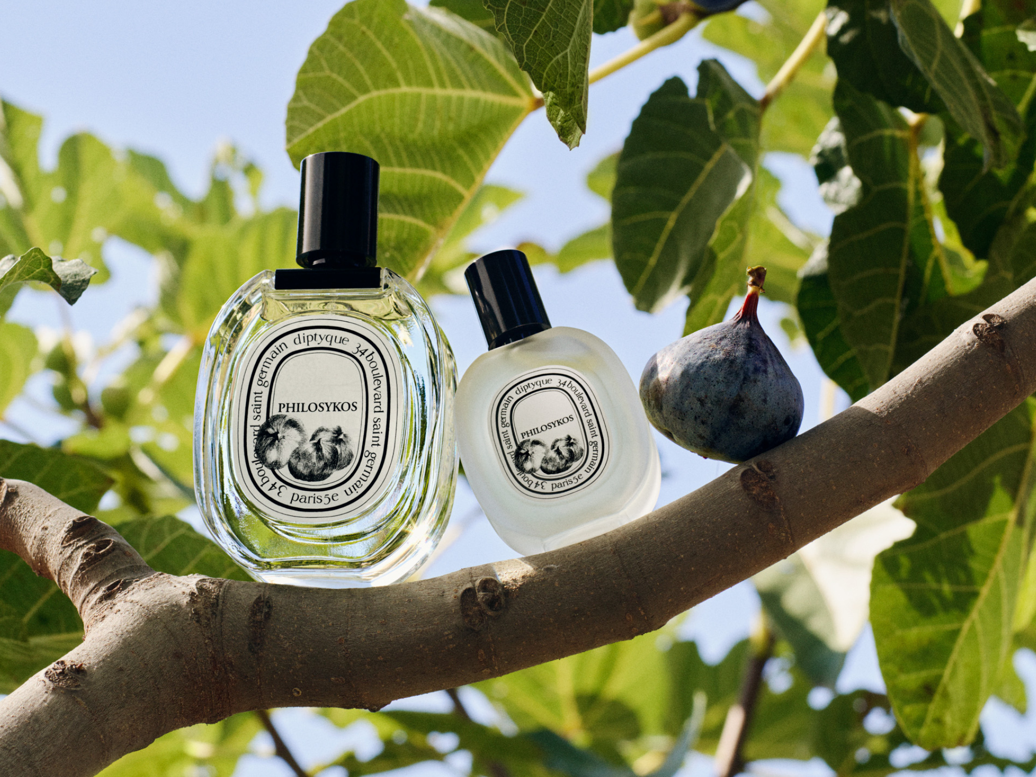 Orphéon Eau de Parfum 75ml | Diptyque Paris