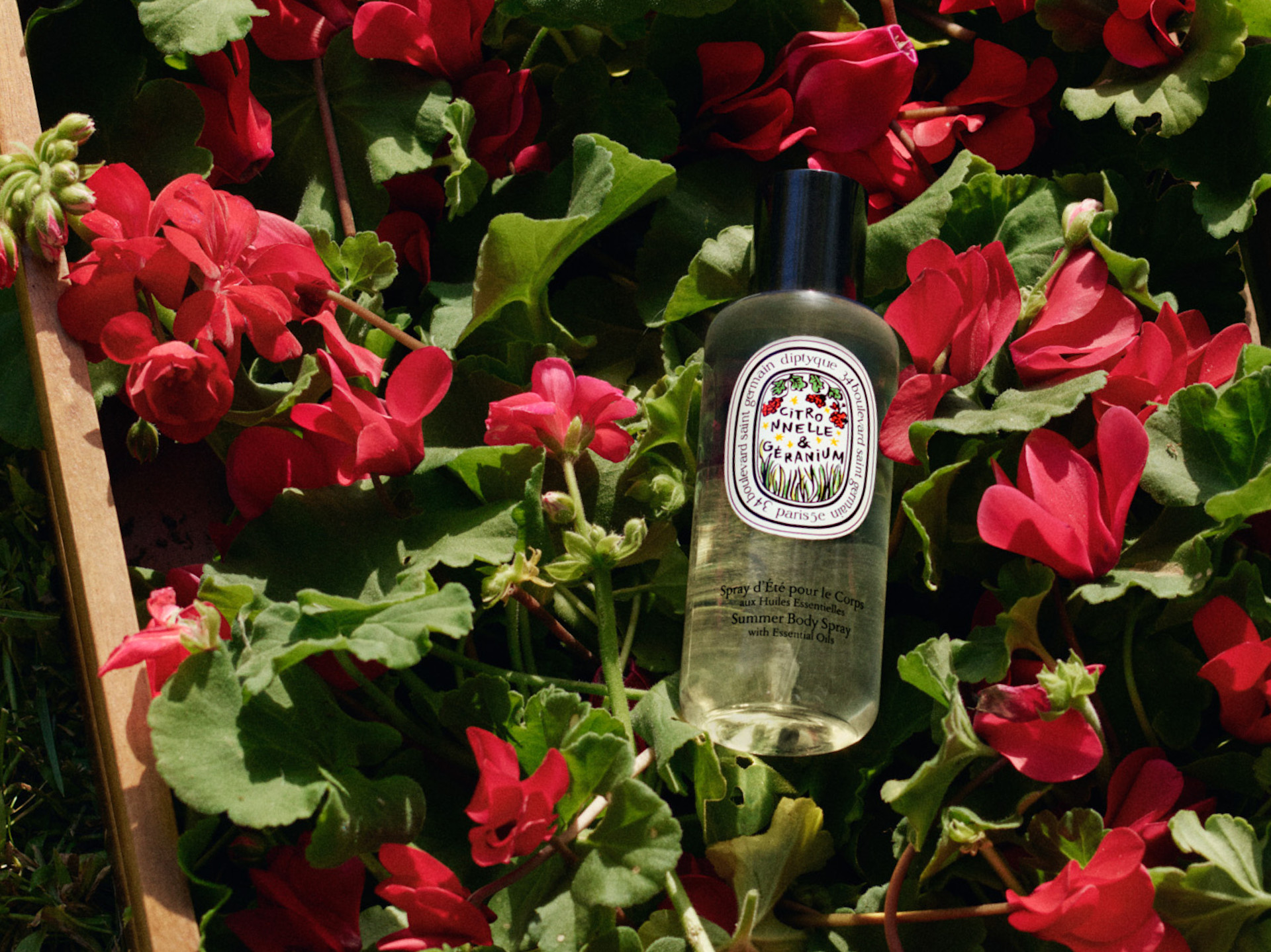 Summer Spray