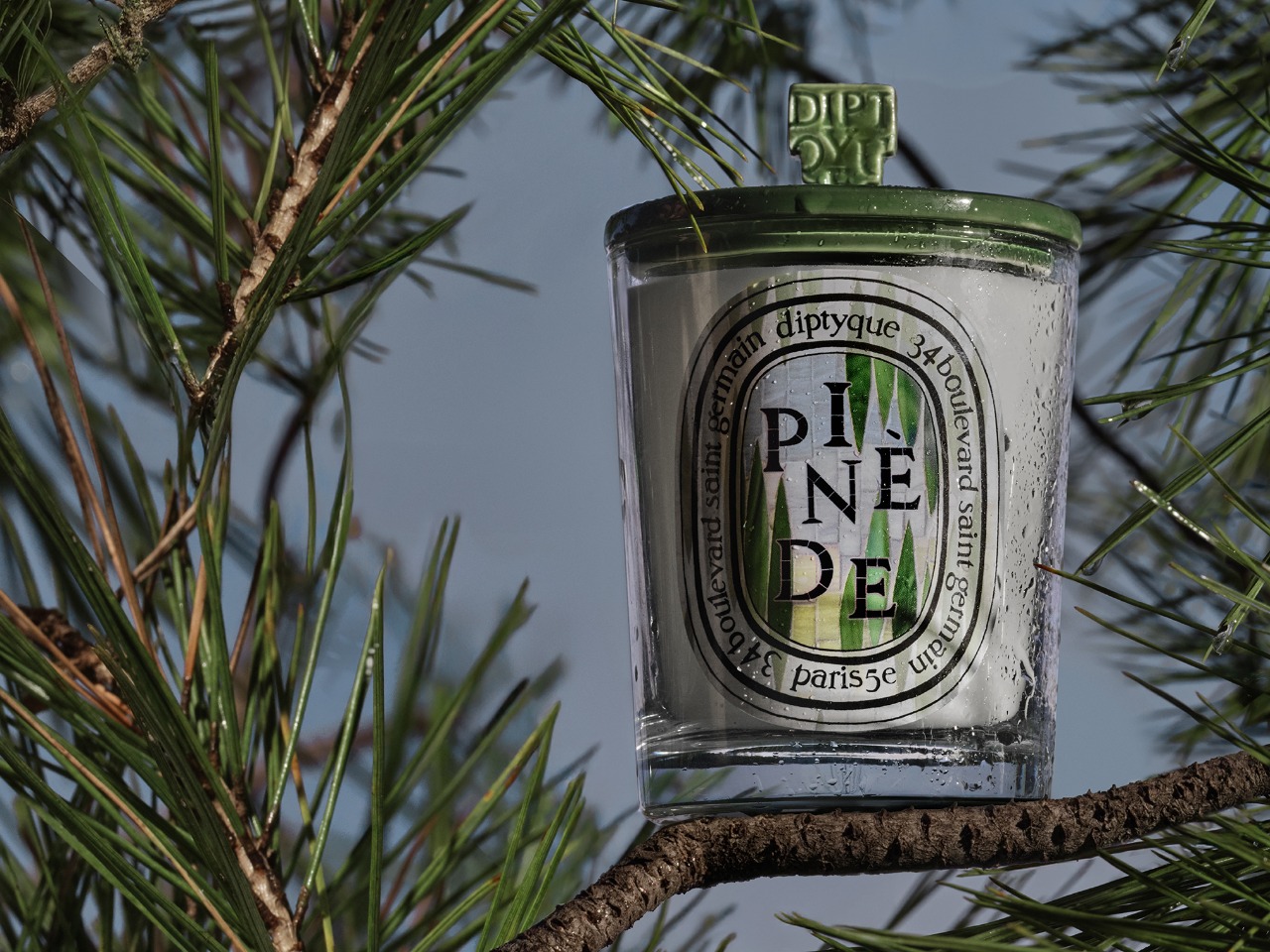 Diptyque Paris Store | Visit Maison Diptyque Paris