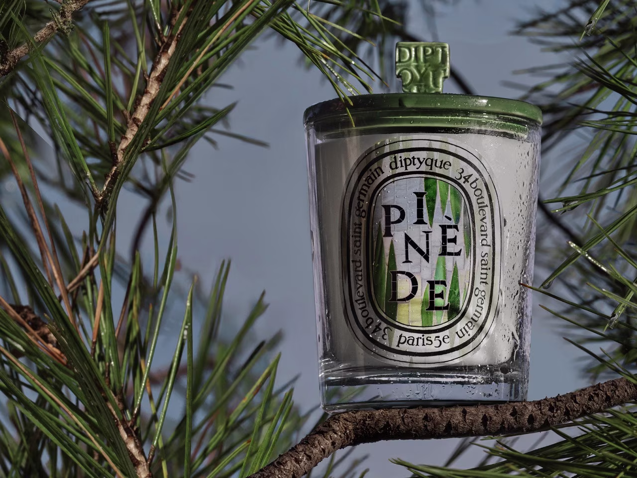 Bougie Pinède