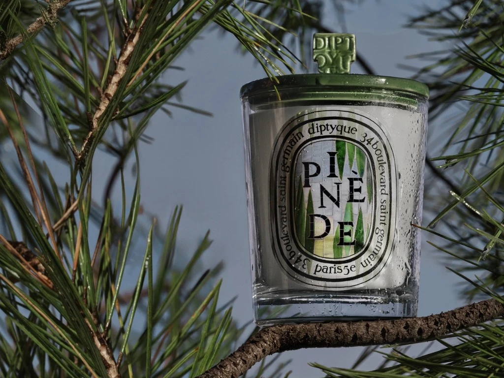 Candle of the month: Pinède (Pine Grove)