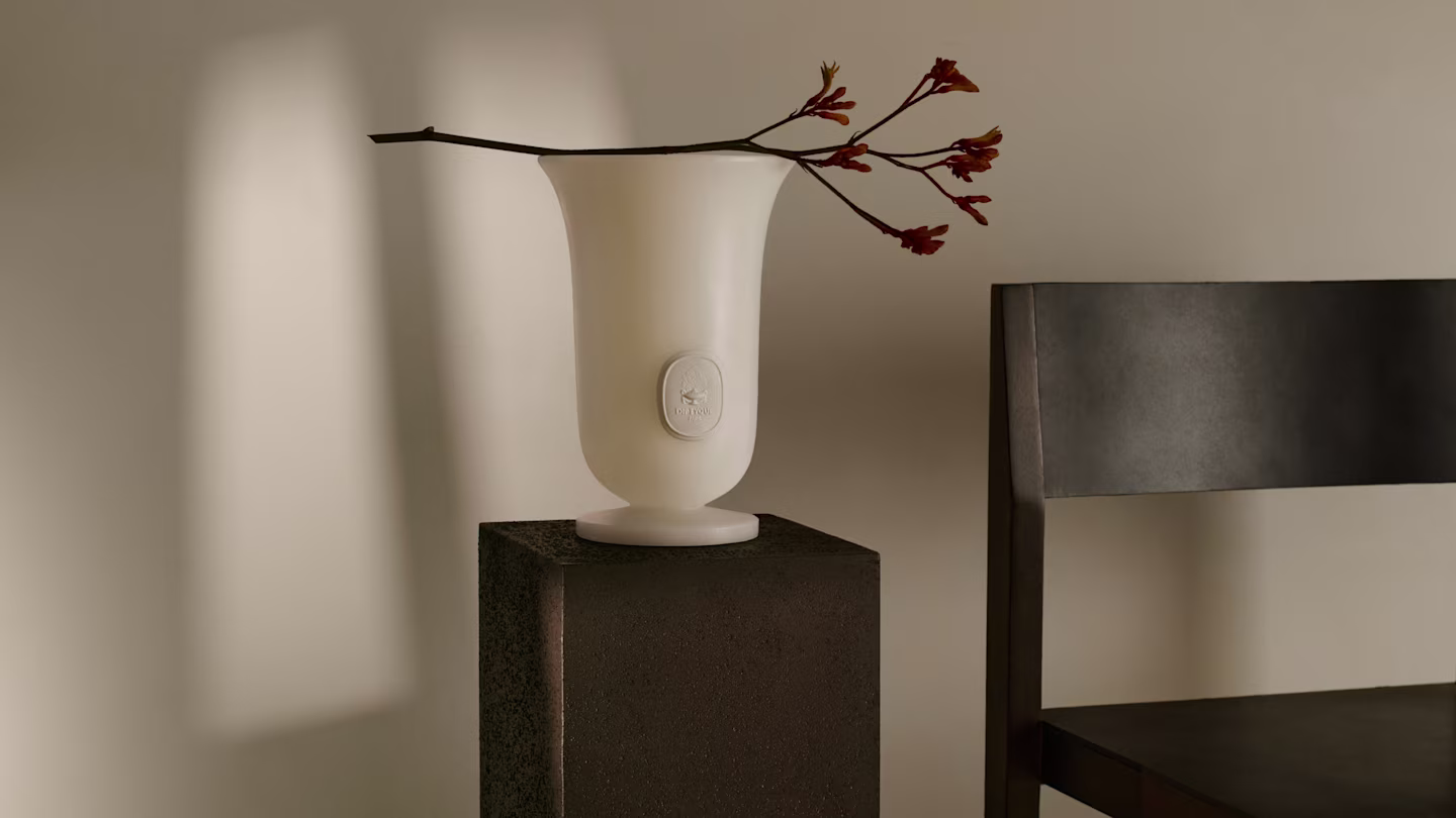 The Medicis Vase in Majesty