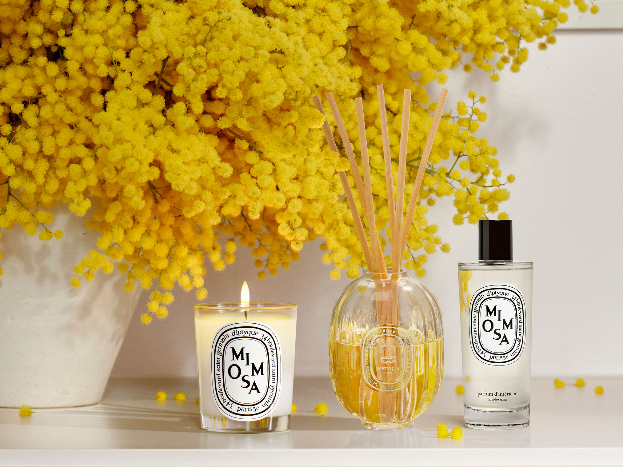 Diptyque Paris Store | Visit Diptyque Taikoo Li Shanghai