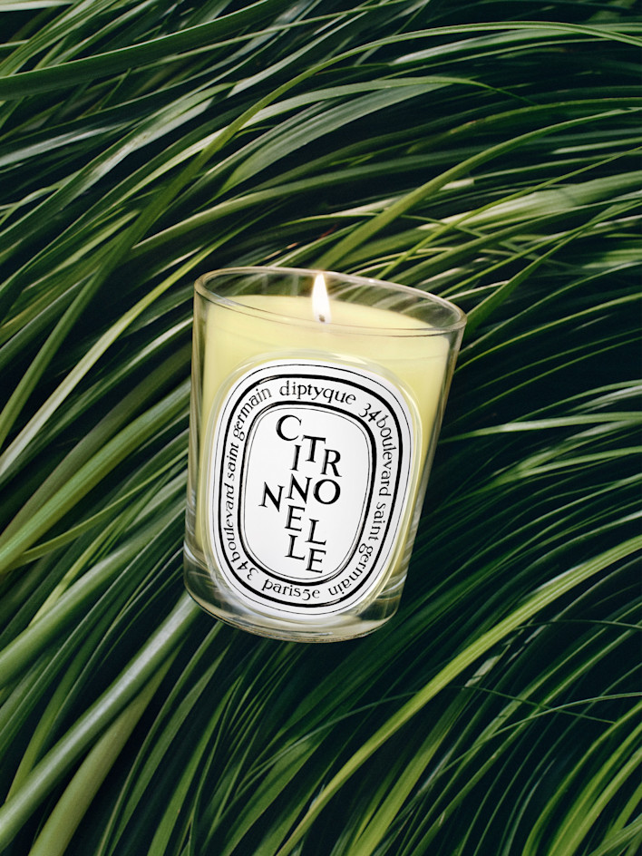 Candela del mese Citronelle (Citronella)