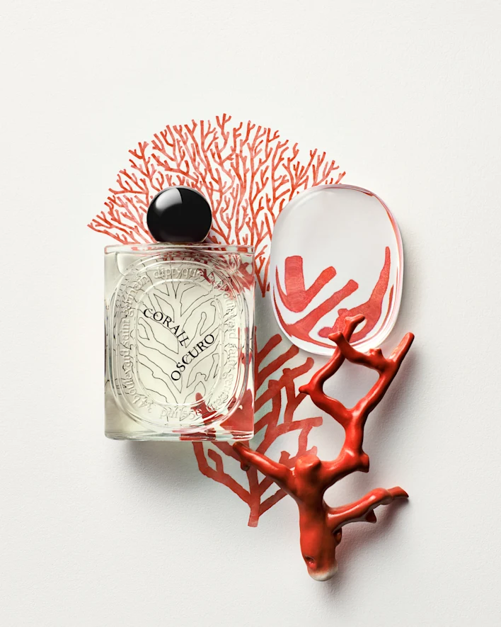 A summer composition, Corail Oscuro