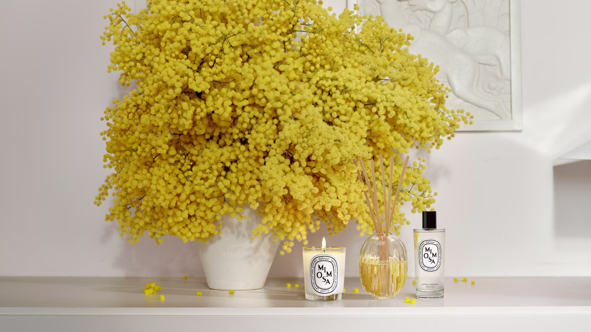 The Collection Mimosa