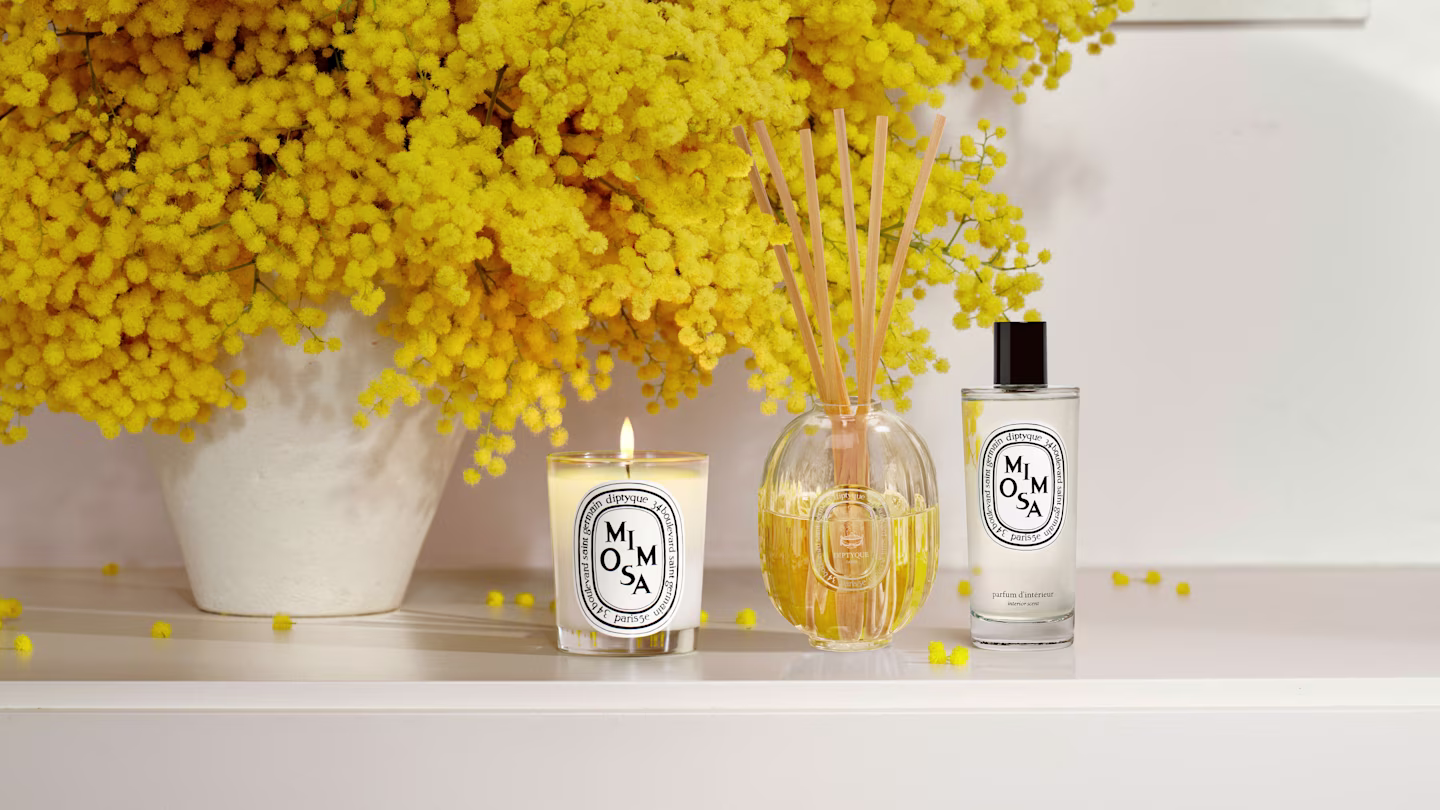 系列 Mimosa(含羞草)