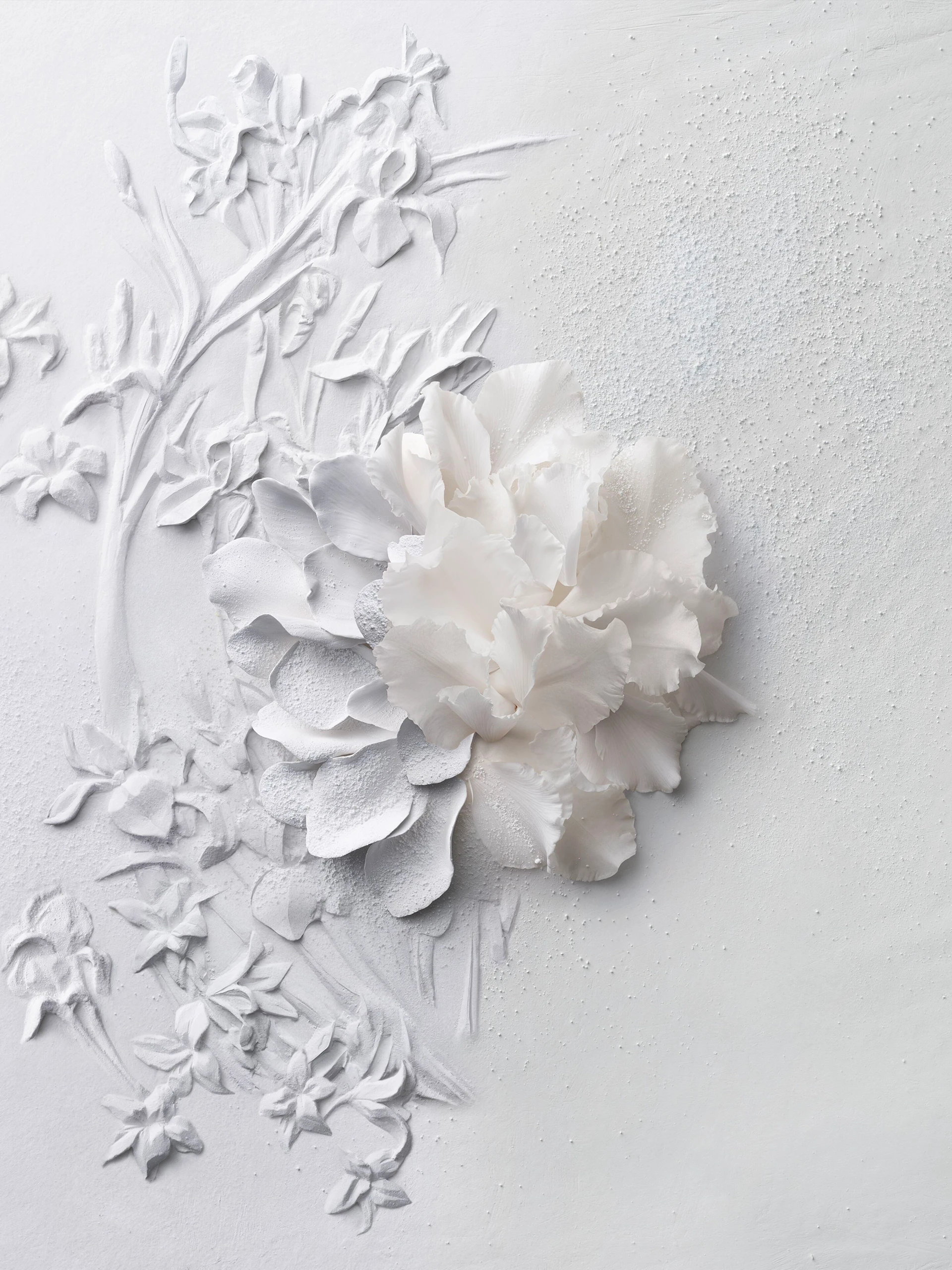 Découvrez la nouveauté Fleur de Peau en avant-première dans votre prochaine commande
