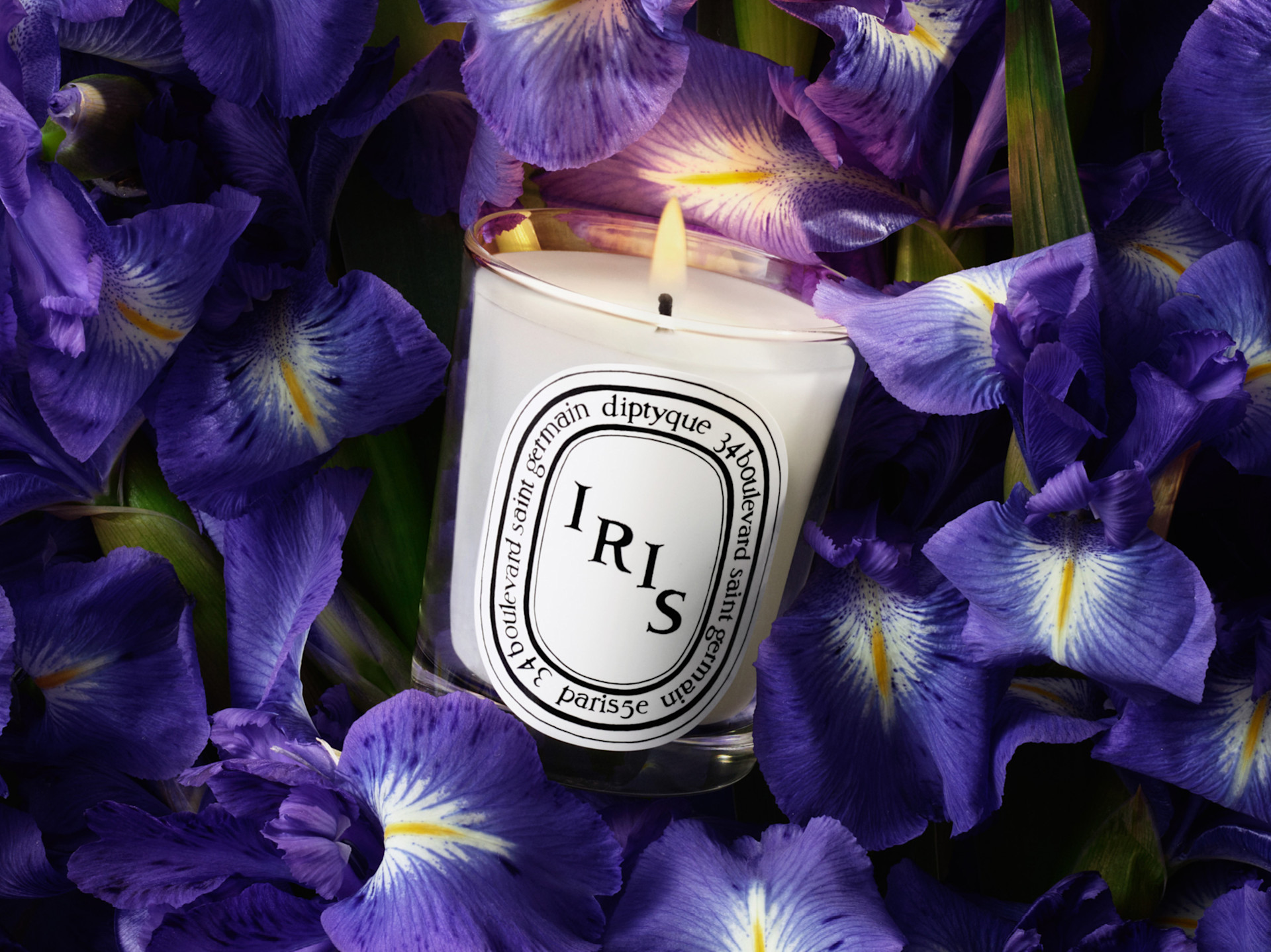 Candle of the Month: Iris