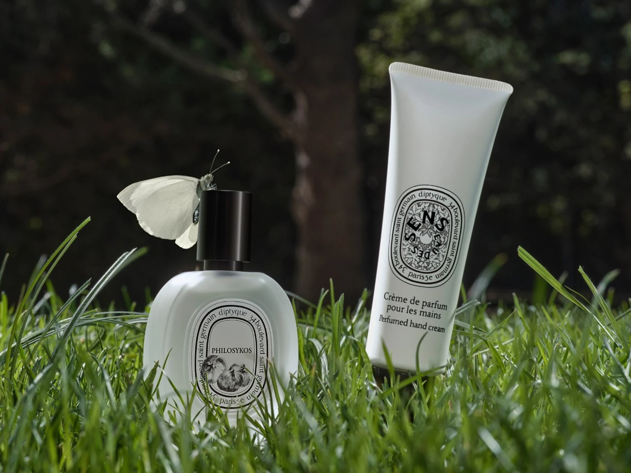 Essentiels de voyage