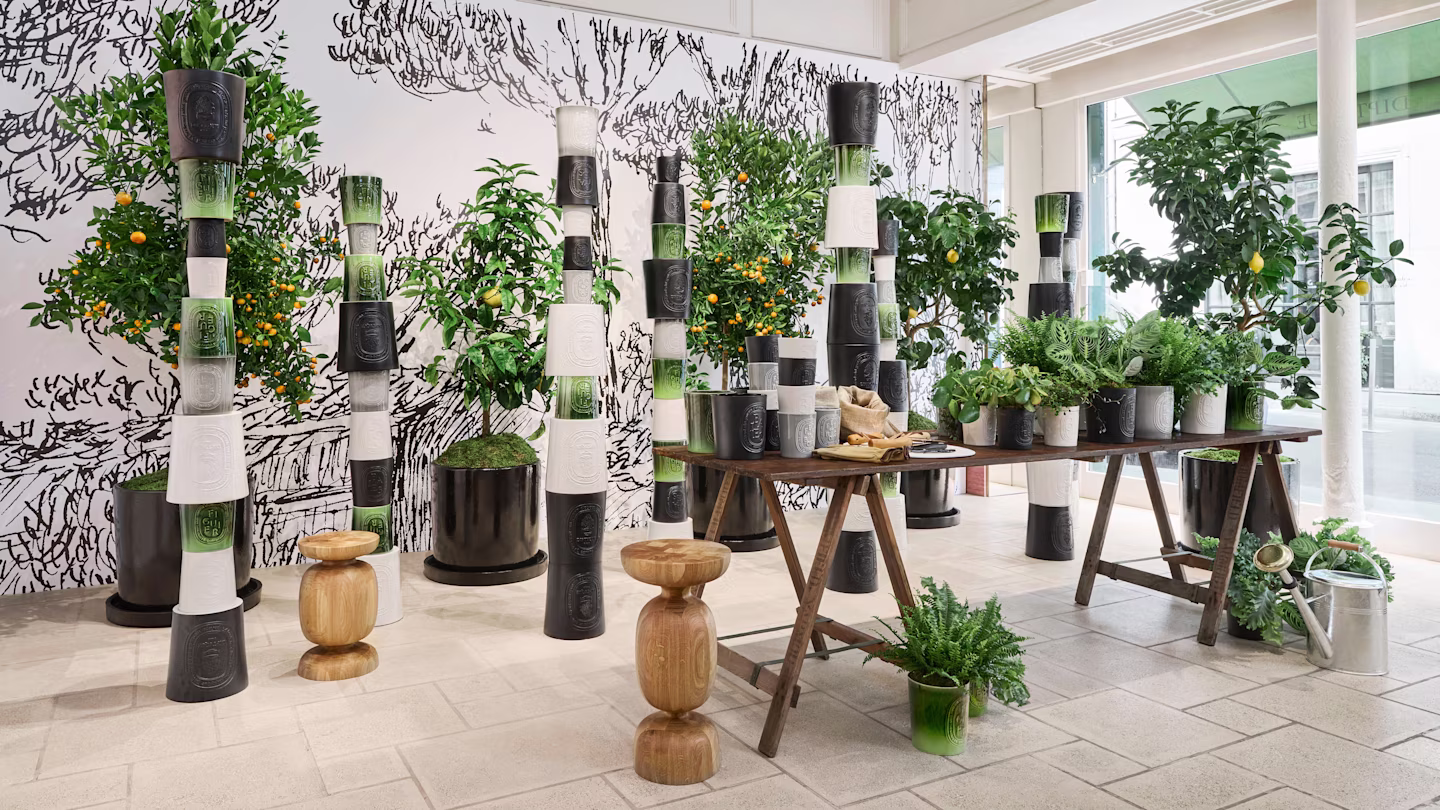 A stroll through a garden of sculptures