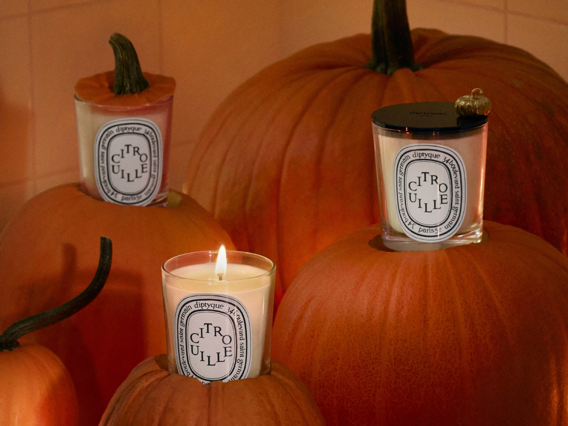Pumpkin, Seasonal Limited Edition