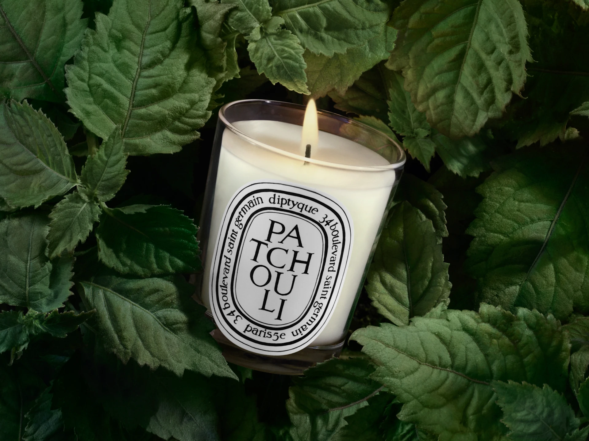 本月之星：Patchouli（廣藿香）香薰燭