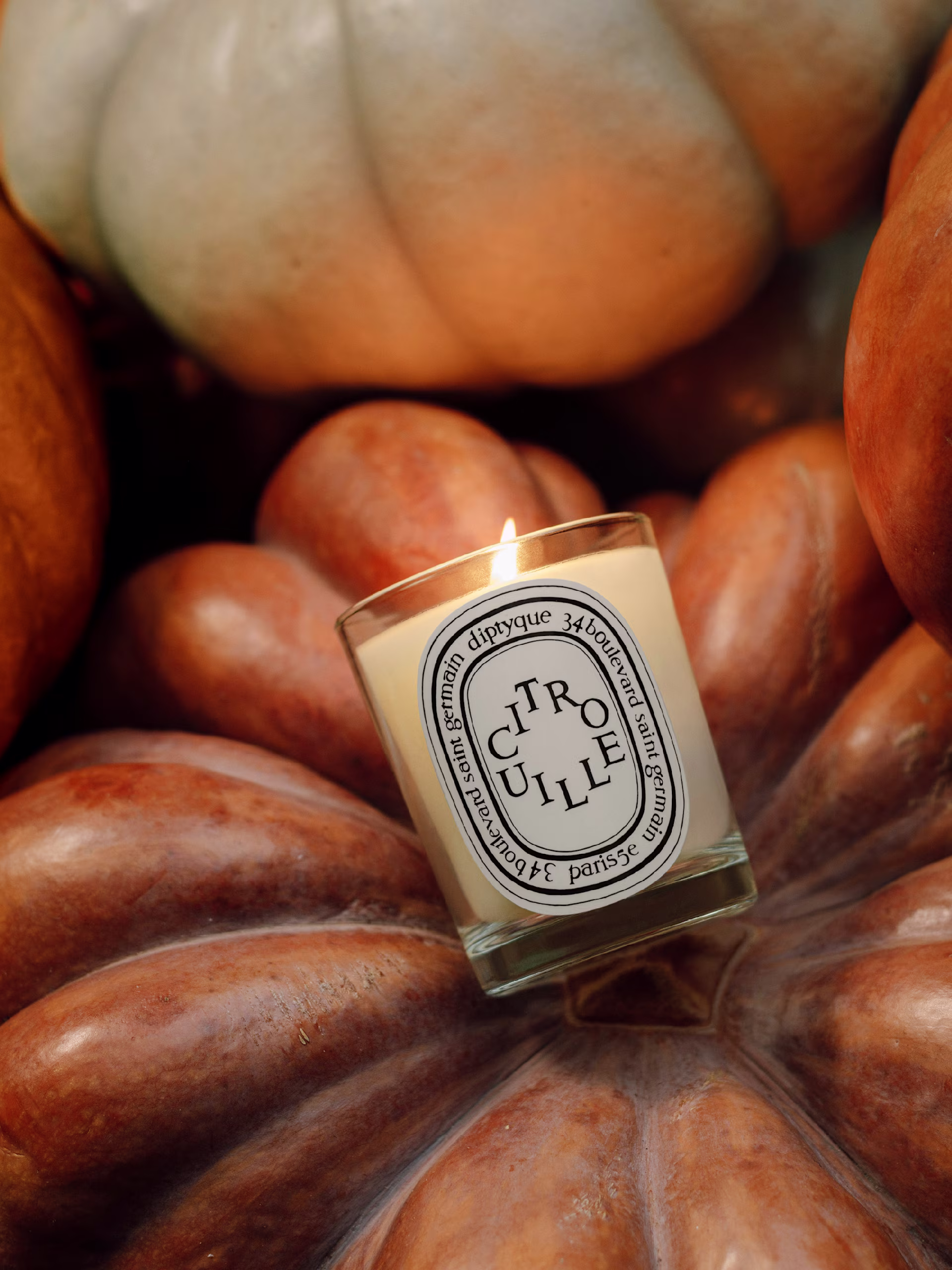 Discover our limited-edition candle of the month: Citrouille (Pumpkin)