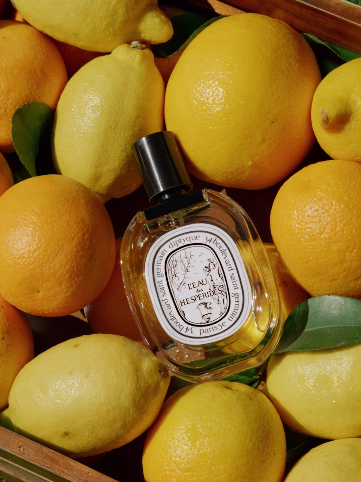 Discover L'Eau des Hespérides, the summer fragrance