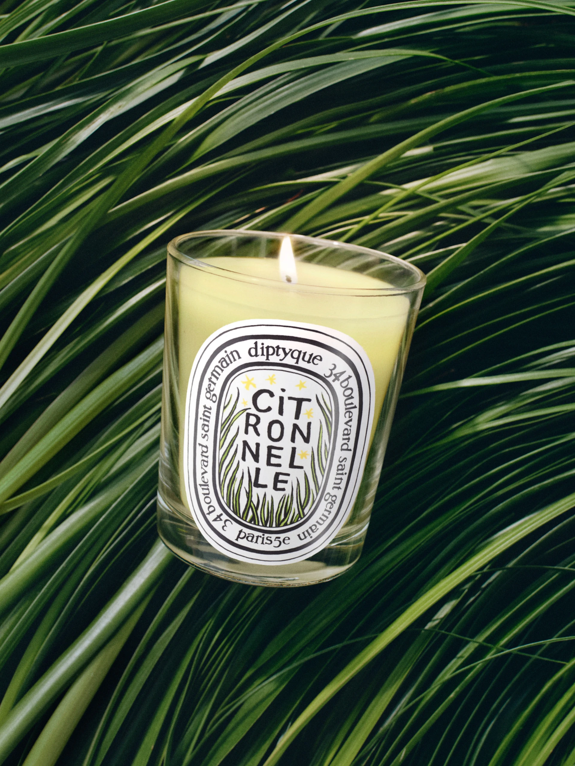 Candle of the month Citronnelle (Lemongrass)