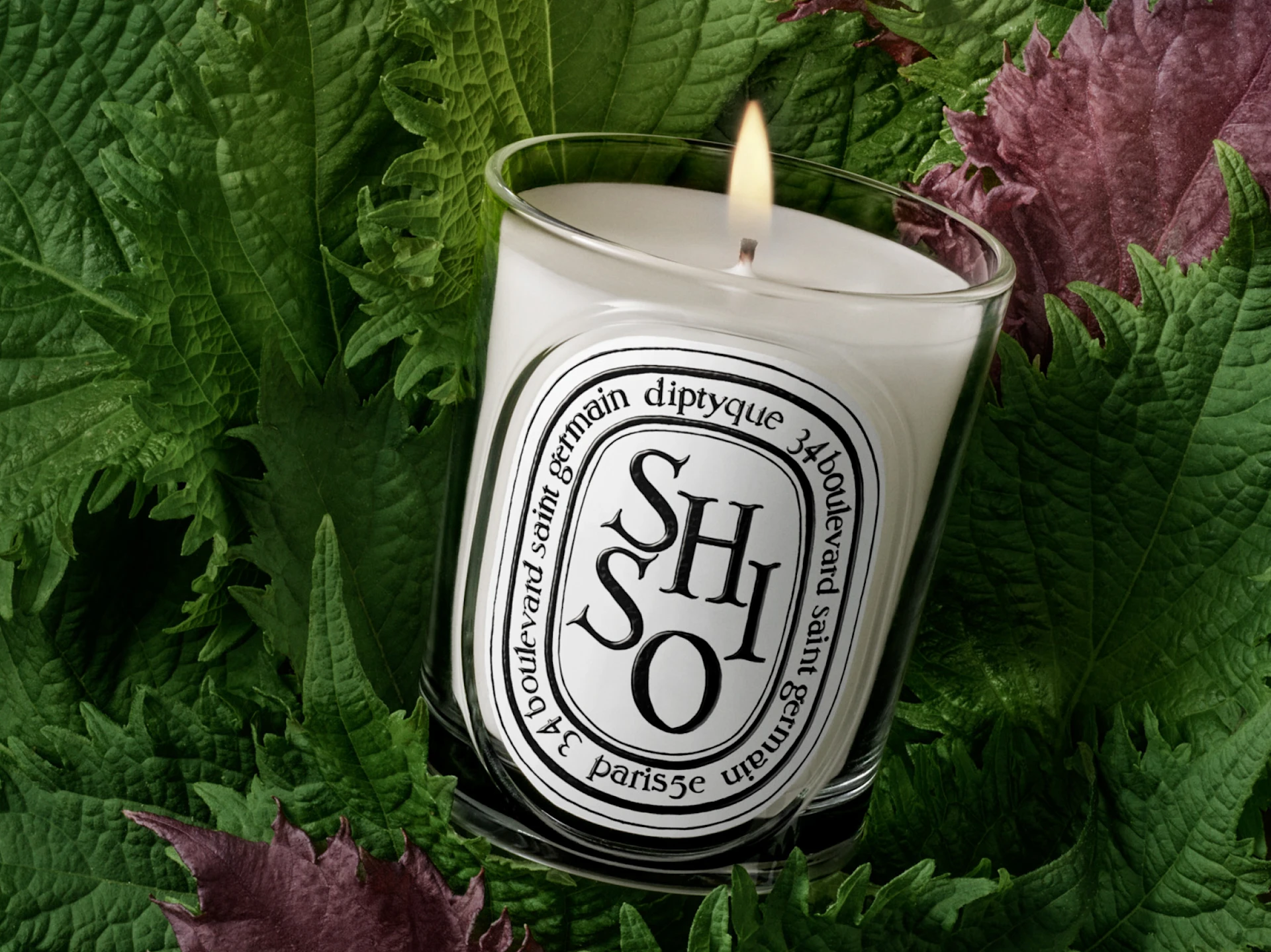 New Shiso Candle