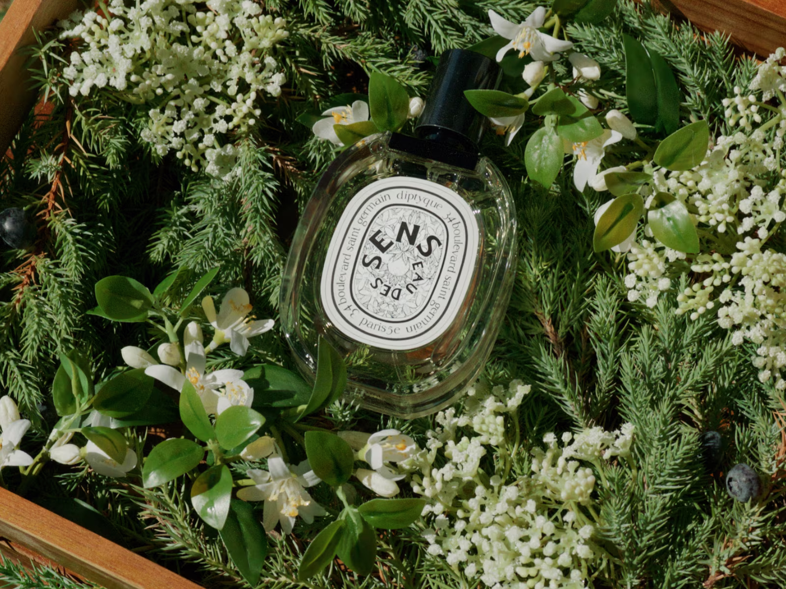 The Scents of Summer