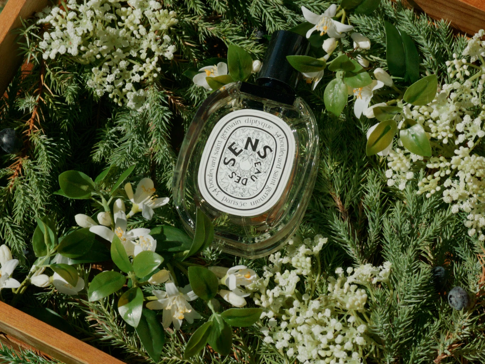 The Scents of Summer