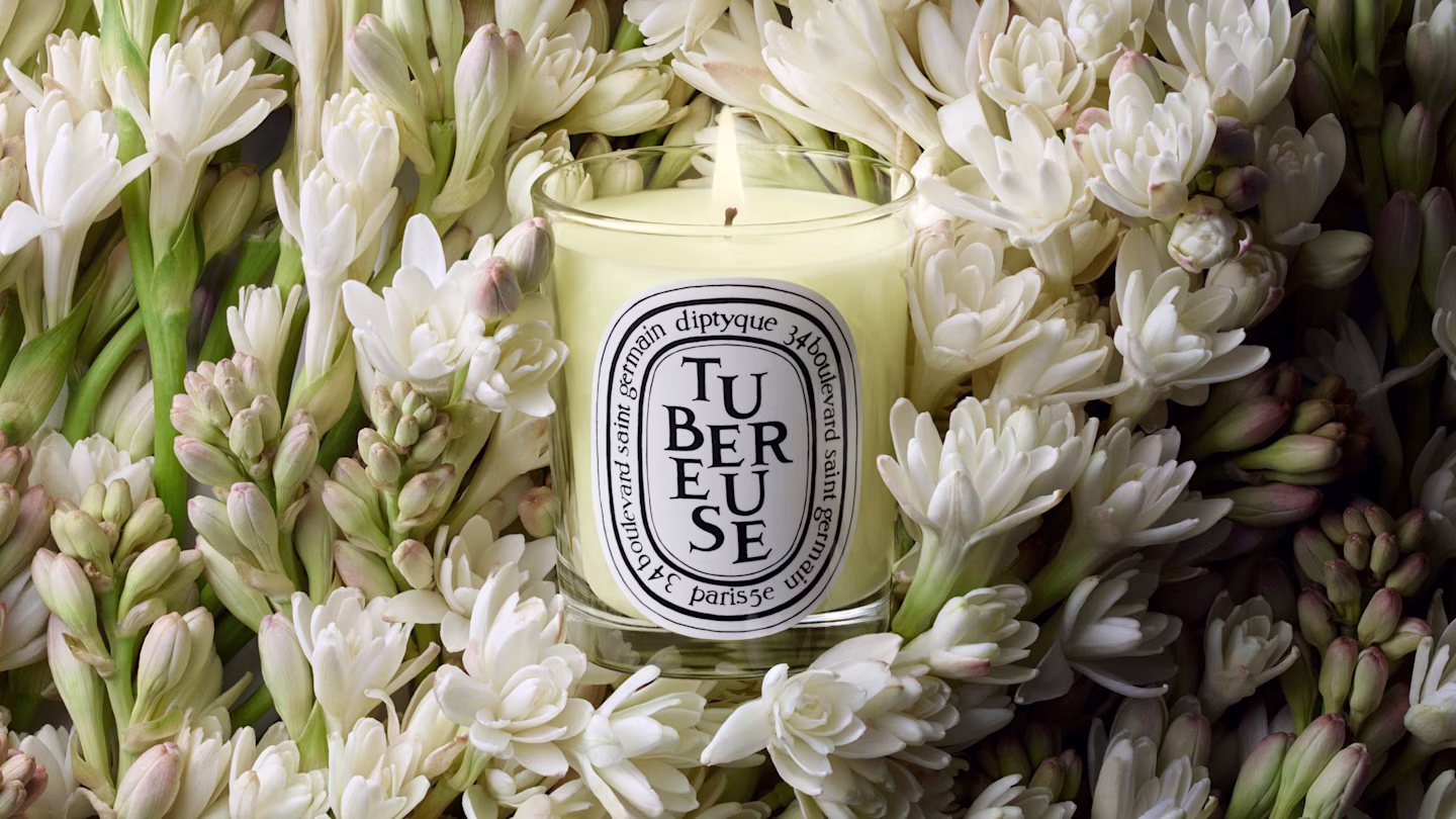 Tubéreuse (Tuberose)